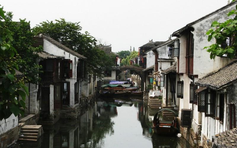 救援受困的萌兔